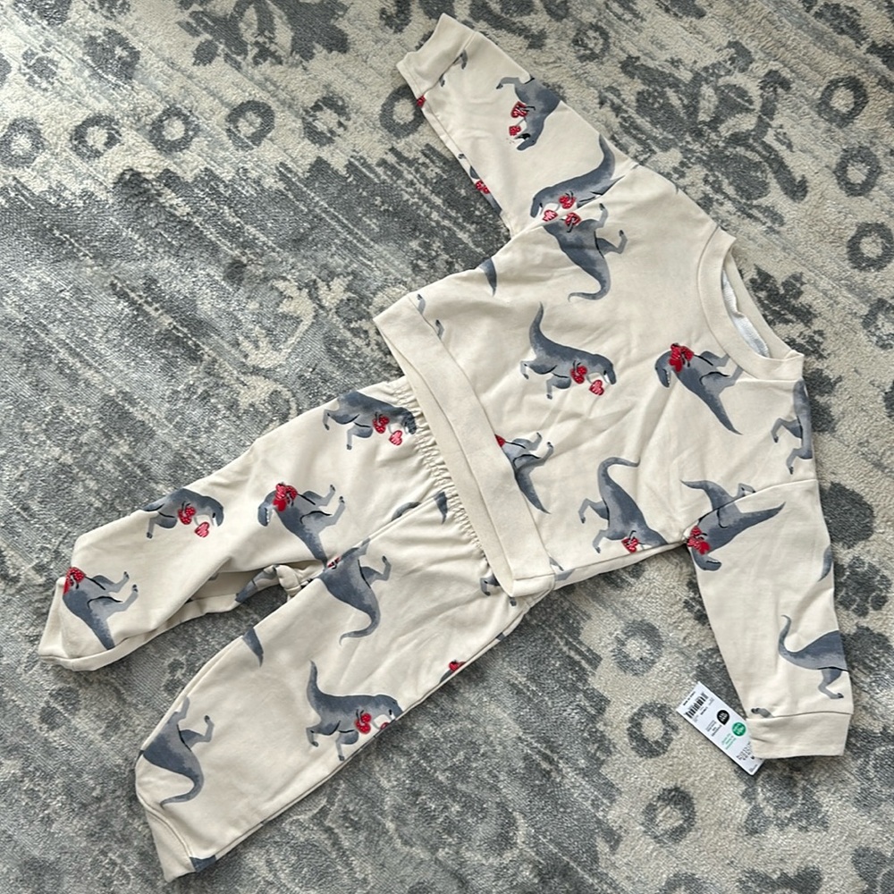 NWT- 18m T-Rex Valentines Heart Sweatshirt&Sweatpants Matching Set // Carters